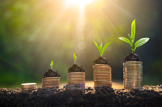 Investment Growth